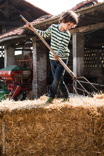 Boy on straw bale with pitchfork on organic dairy farm