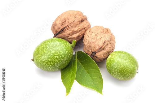 Young and old walnuts