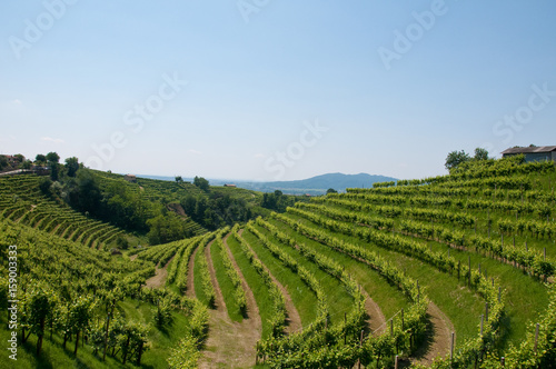 Panorama of beautiful landscapes of valdobbiadene