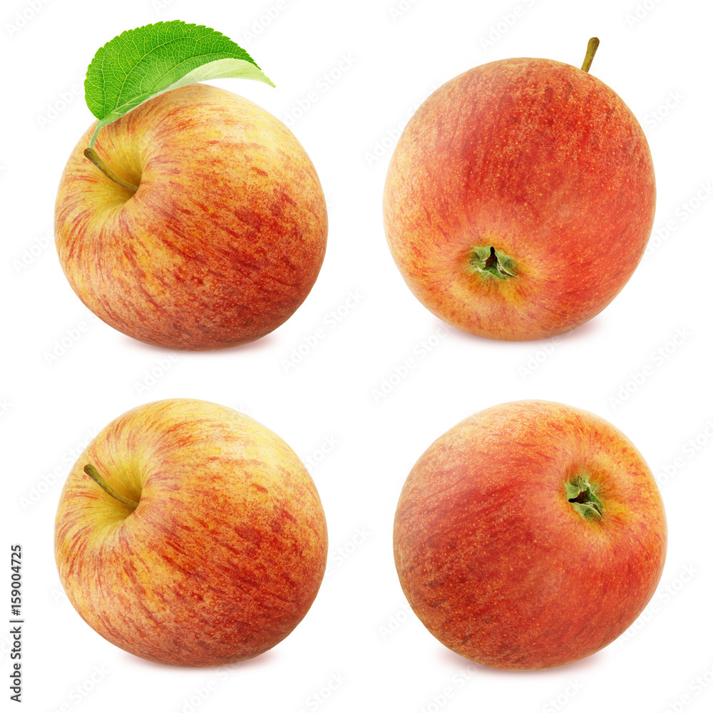 Apple Collection Isolated on White Background Apple Collection Isolated on White Background
