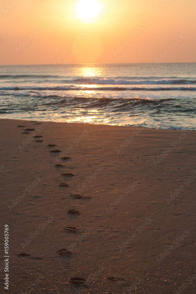footprints in the sand