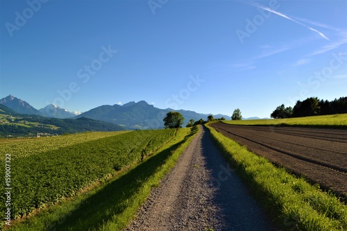 Fototapeta Naklejka Na Ścianę i Meble -  Weg in den Alpen mit Wiese