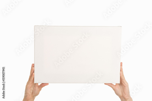 Female hands on a white background. poster
