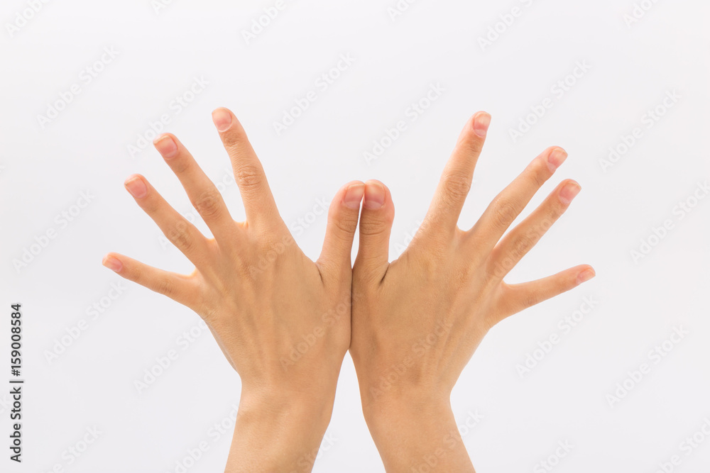 Female hands on a white background. Gestures Female hands on a white background. Gestures