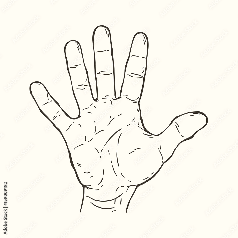 Obraz premium Hand gesture Five fingers