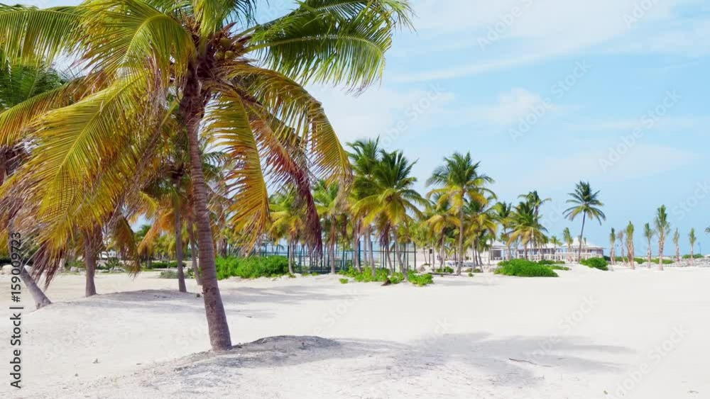 white beach, blue sea, blue sky, clouds, ocean, palm trees, white sand beach, 4K white beach, blue sea, blue sky, clouds, ocean, palm trees, white sand beach, 4K