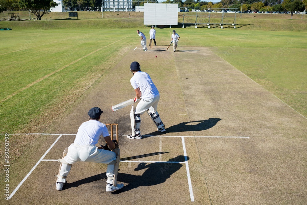 Fototapeta premium High angle view of cricket match at field