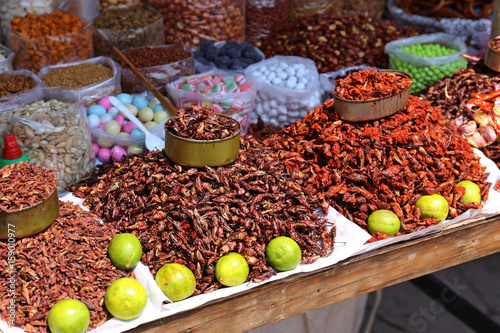Insects Food in Mexico