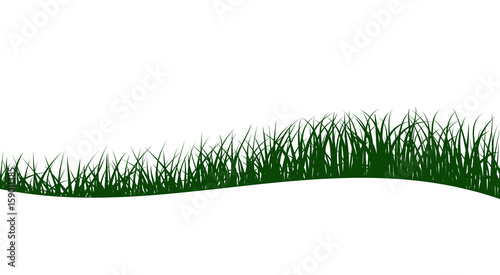 Green grass silhouettes, abstract wave background, vector illustration.