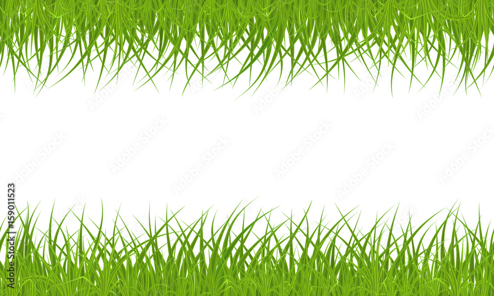 High quality green grass seamless border on white background, vector illustration. High quality green grass seamless border on white background, vector illustration.