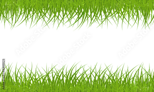 High quality green grass seamless border on white background, vector illustration.