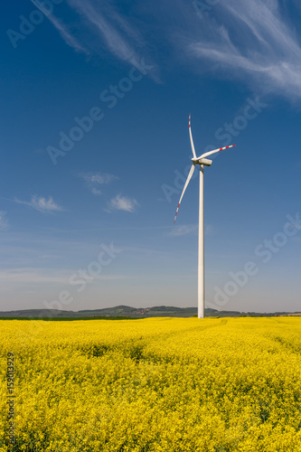 Wind turbine in a blooming canola field