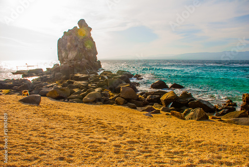 Apo island, Philippines, view on island beach line: sand, rocks, sea. photo