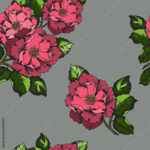 Seamless pattern with flowers peons for printing on paper or fabric. Vector