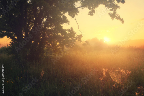 Summer sunrise © alexugalek