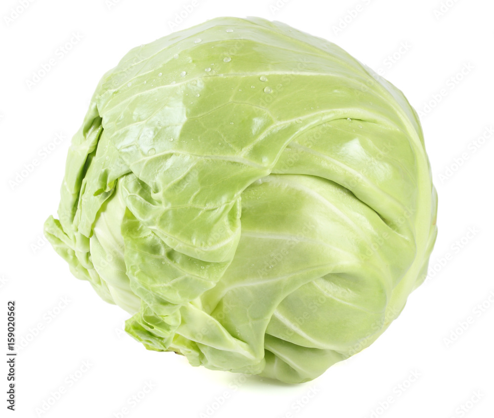 green cabbage isolated on white background green cabbage isolated on white background
