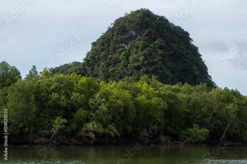 Limestone karsts rising out of the bay