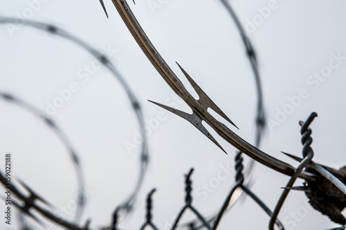Razor wire