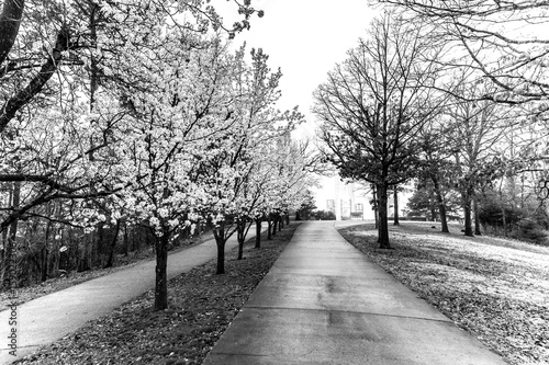 Walking path