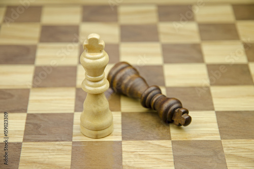 A close-up view of two chess kings on a chess board