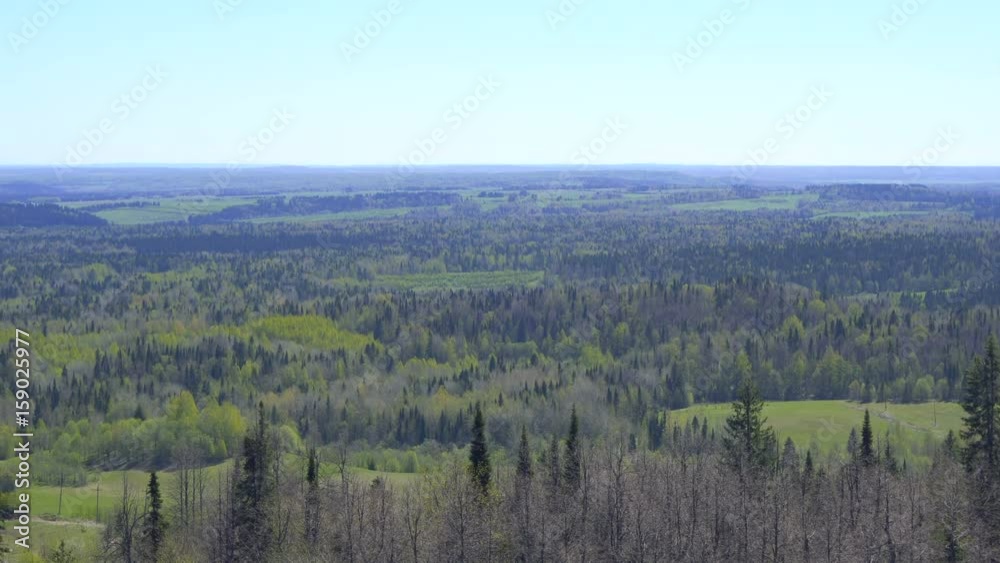 Wide Taiga Forest Spaces Panorama Wide Taiga Forest Spaces Panorama