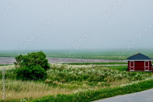 big green field with a foggy environment
