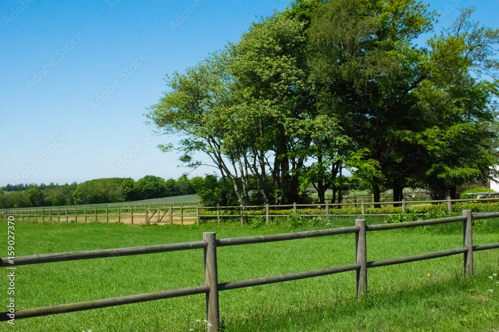 Beautiful green nature in Europe from the road Beautiful green nature in Europe from the road