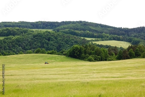 Summer landscape