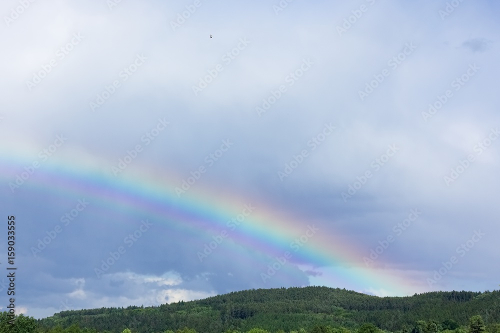 Rainbow Rainbow