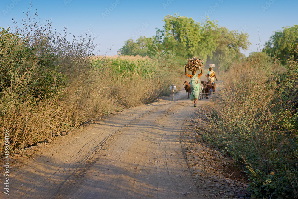 Rural farm side rough road