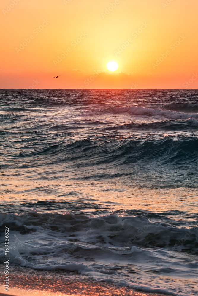 Obraz premium Beautiful tropical sunrise on the beach over ocean, Mexico