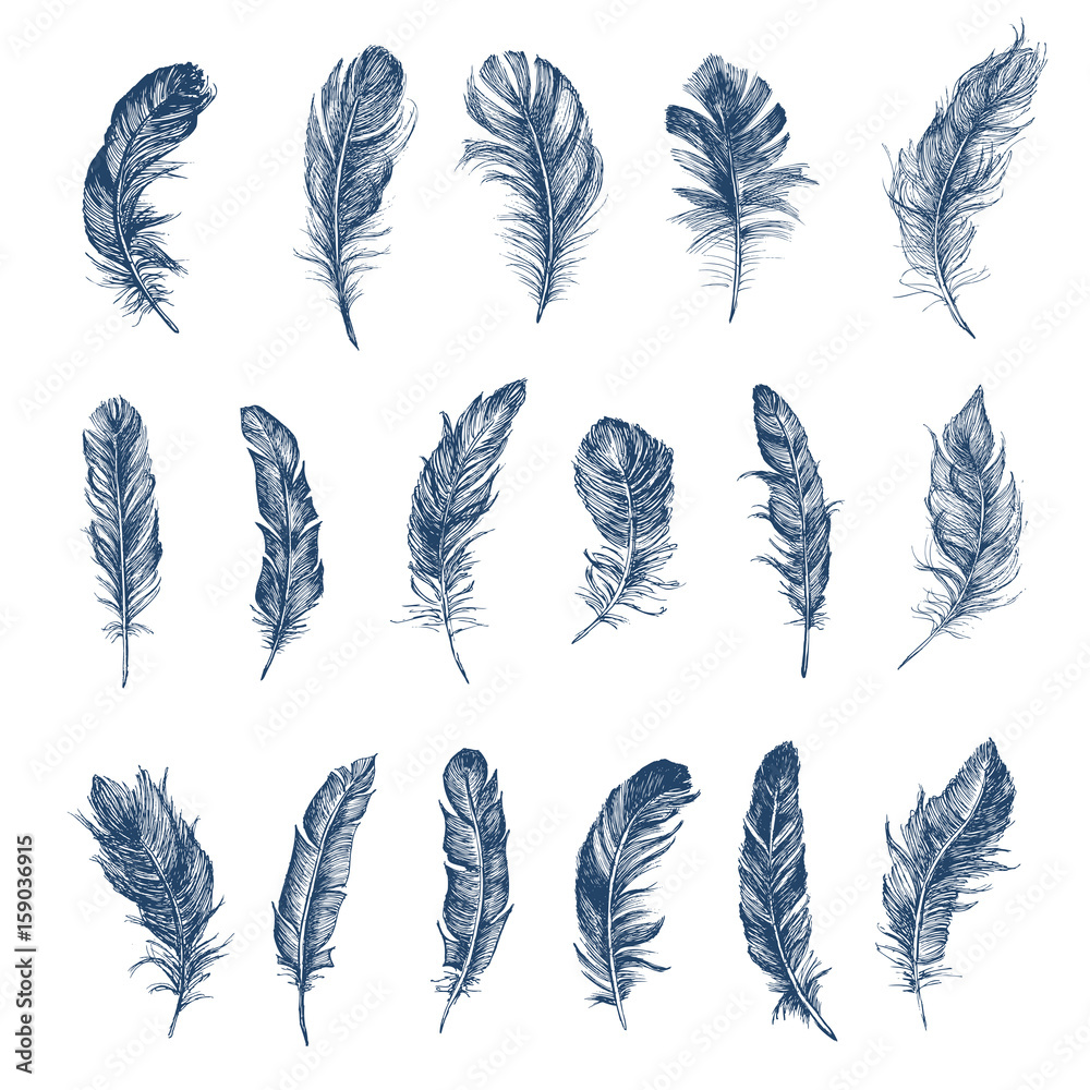 Feather Pattern Feather Pattern
