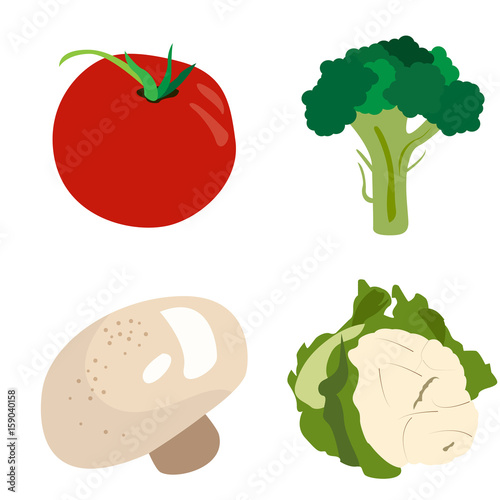 Set of different vegetables on a white background, Vector illustration