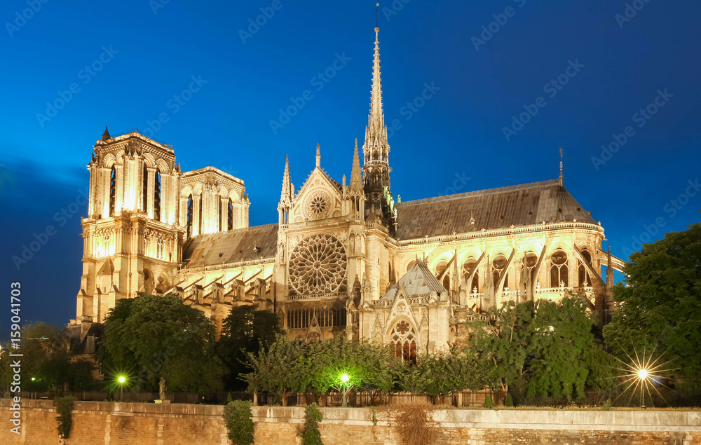Obraz premium Notre Dame Cathedral at night, Paris, France