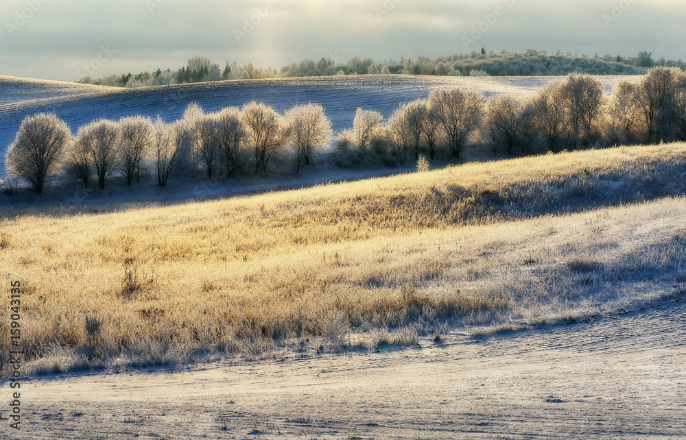Winter field Winter field