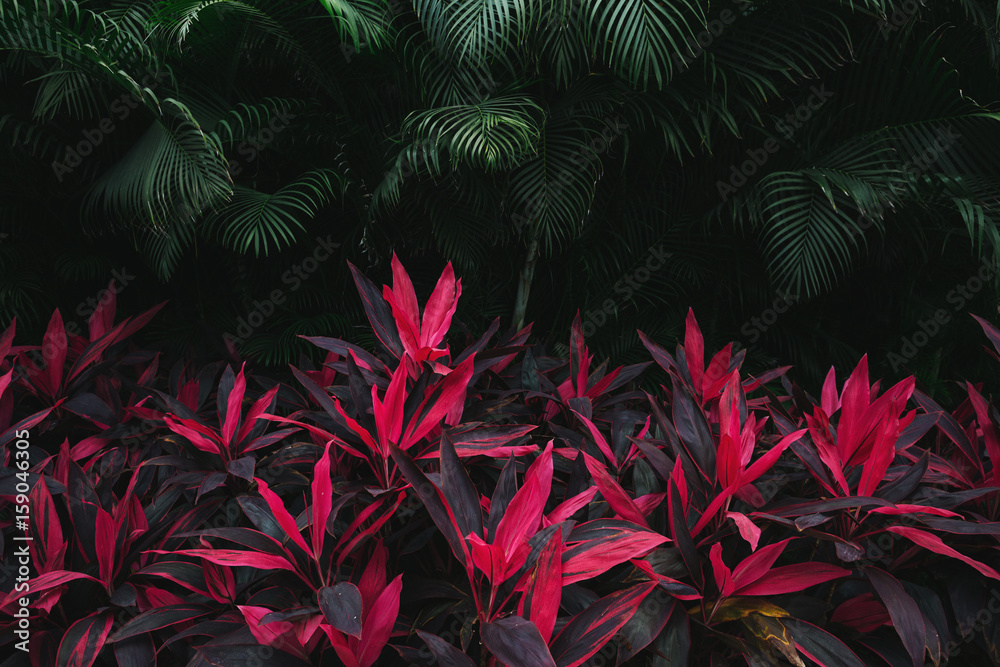 Pink tropical leaves and palm trees Pink tropical leaves and palm trees