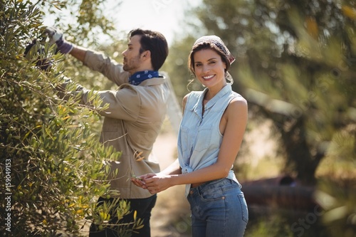 Smiling girlfriend with boyfriend plucking olives at farm