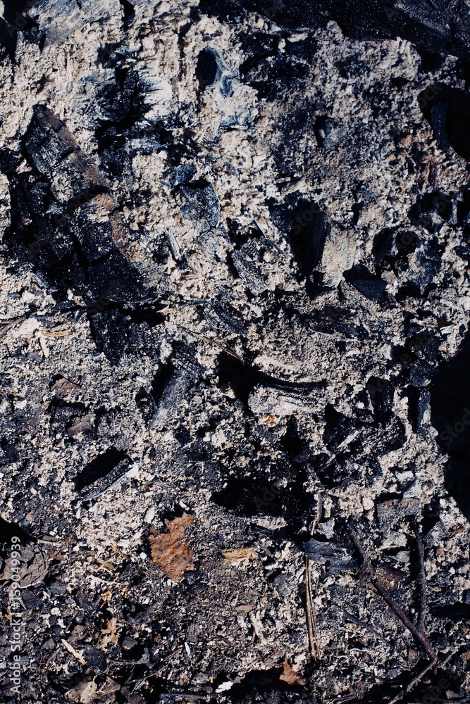 Fototapeta premium Burnt embers of a campfire