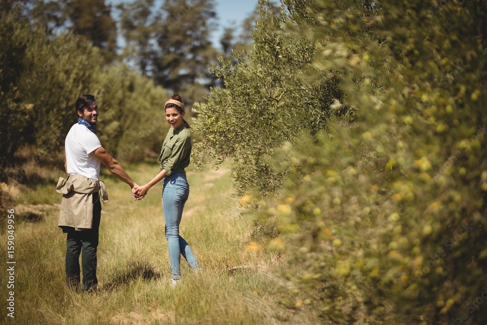 Couple holding hands while standing at olive farm