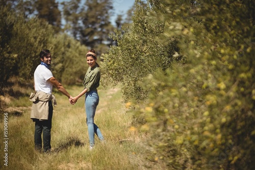 Couple holding hands while standing at olive farm © WavebreakMediaMicro