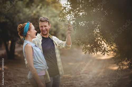 Young couple standing by olive tree at farm