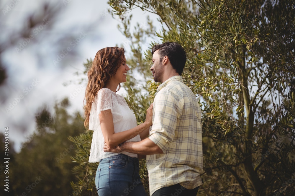 Fototapeta premium Loving young couple standing by trees at farm