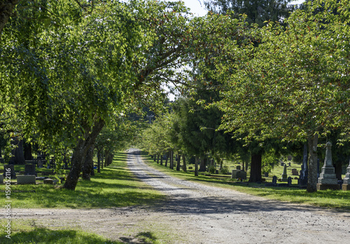 Historic Cherry Tree Lined Oregon Cemetery, Marion County, Willamette Valley © hktelleria