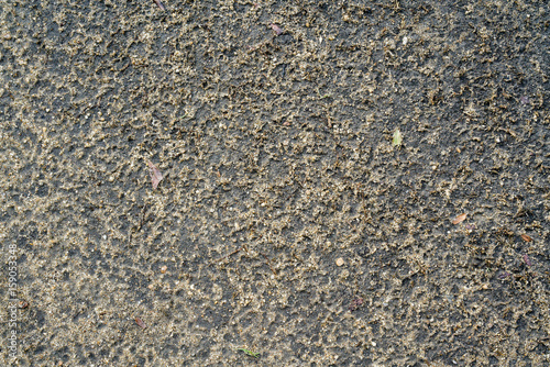 Rough wet sand texture