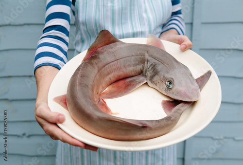 Woman fishmonger holding a dogfish shark photo