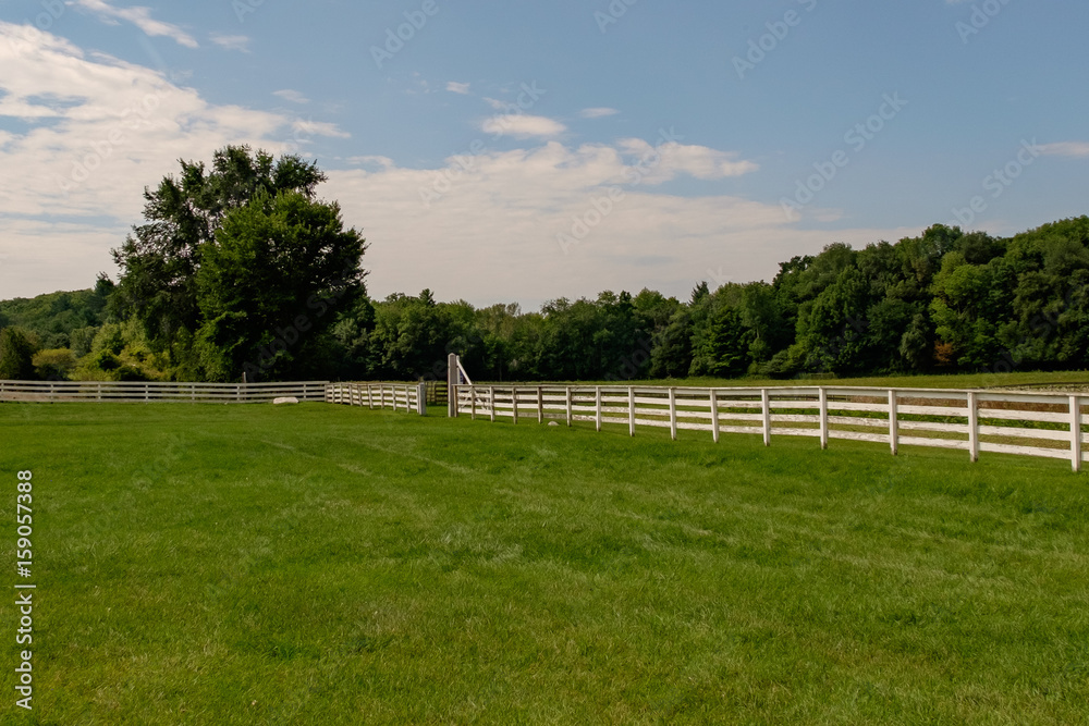 Obraz premium Farm Meadow