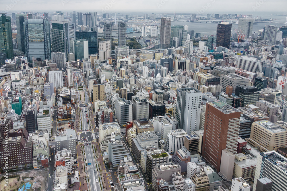 Fototapeta premium Tokyo Skyline