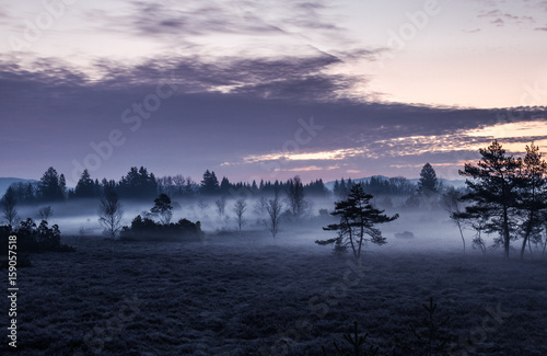 moor landscape in early morning mist