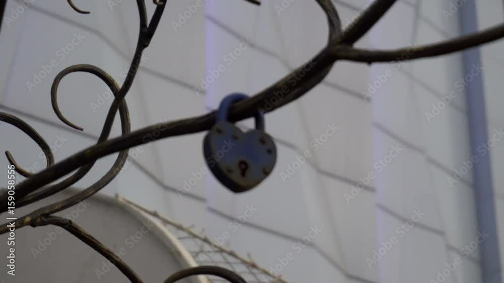 the lock in the form of heart hanging on a metal artificial tree lovers.