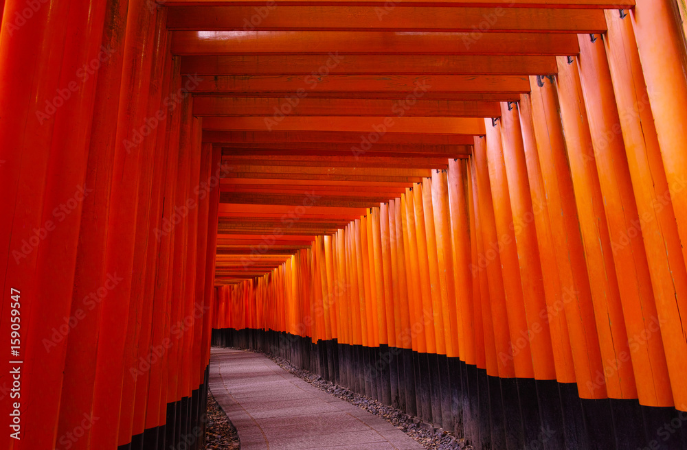 Fototapeta premium 千本鳥居